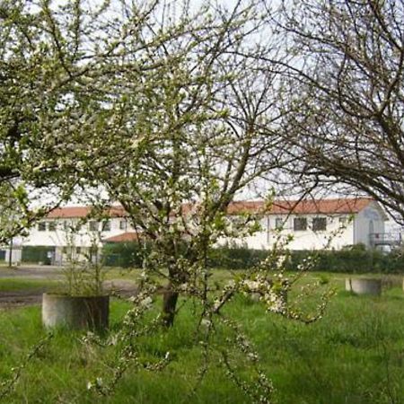 Hotel Lory Ficarolo Εξωτερικό φωτογραφία
