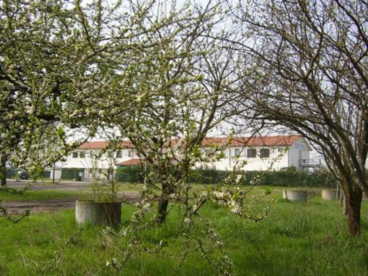 Hotel Lory Ficarolo Εξωτερικό φωτογραφία